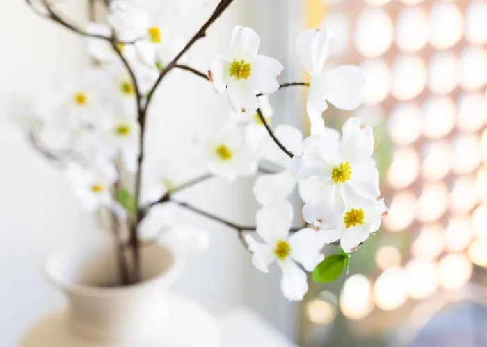 Home2book Dream Haven Pool&terrace *