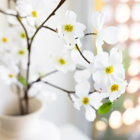 Home2book Dream Haven Pool&terrace *